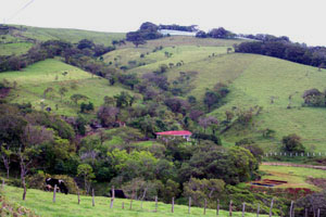 A valley with farming in the Quebrada Grande area. 